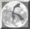 darkmoon2.jpg (84660 octets)